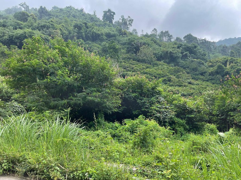 Dijual Lahan di Garut