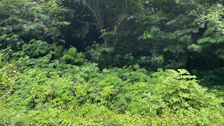 Dijual Lahan di Garut