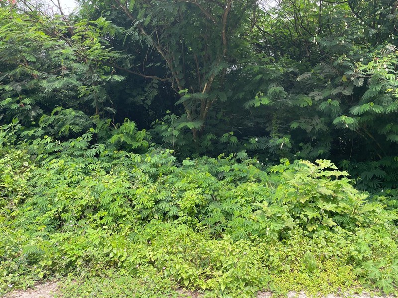 Dijual Lahan di Garut