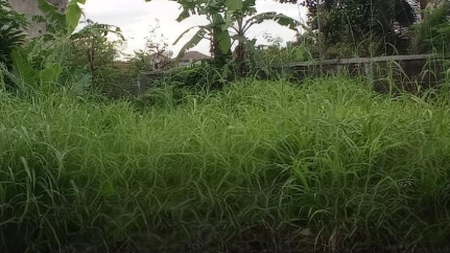 Dijual Cepat Tanah Siap Bangun di Tasikmalaya