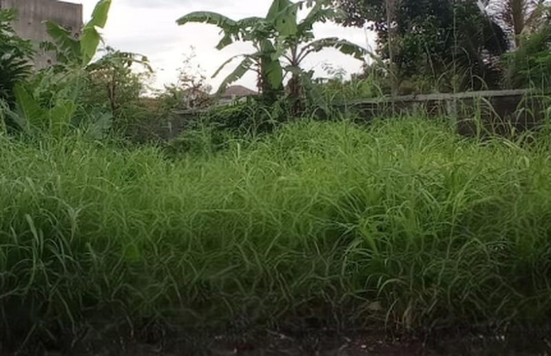 Dijual Cepat Tanah Siap Bangun di Tasikmalaya