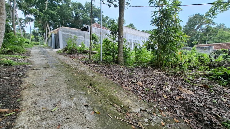 Tanah Pekarangan Luas 405 Meter Persegi Dekat Kawasan Wisata Kasongan Bantul.