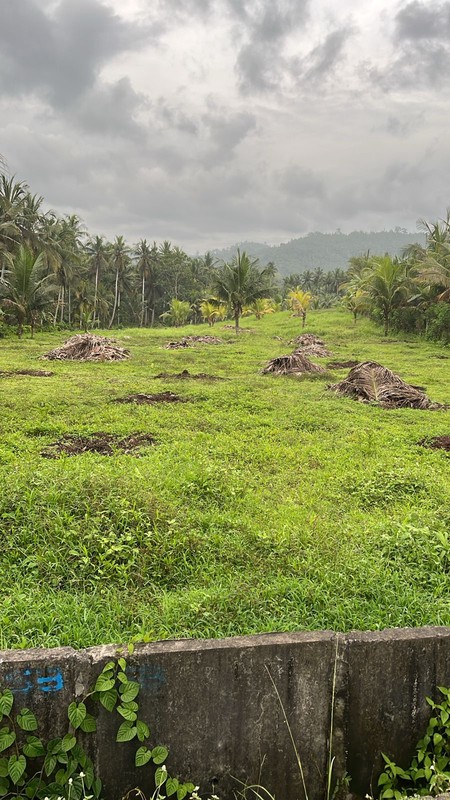 Leasehold - Land Prime in Jembrana, Bali