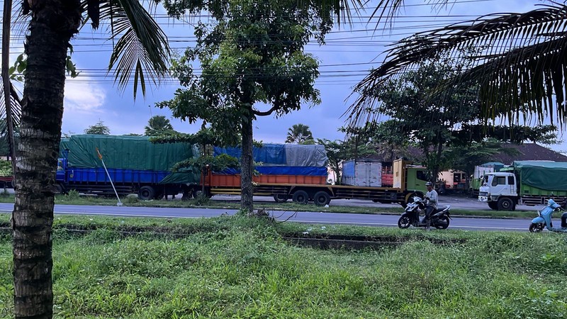 Leasehold - Land Prime in Jembrana, Bali