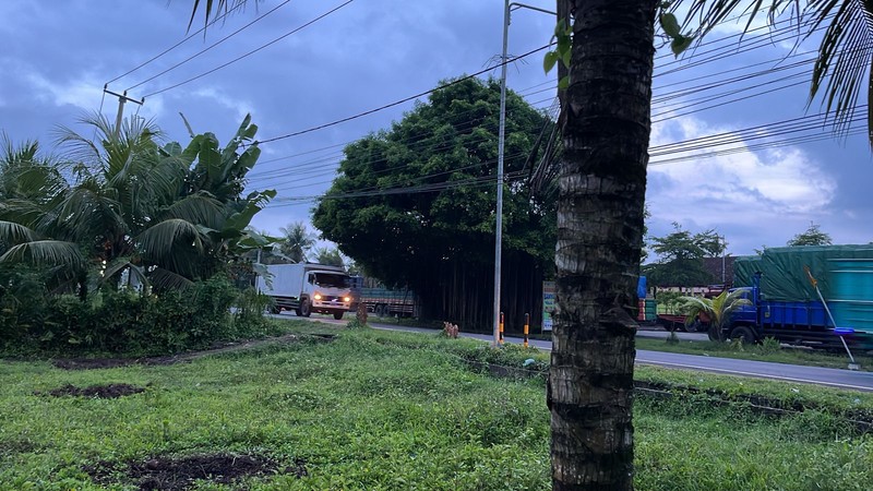 Leasehold - Land Prime in Jembrana, Bali