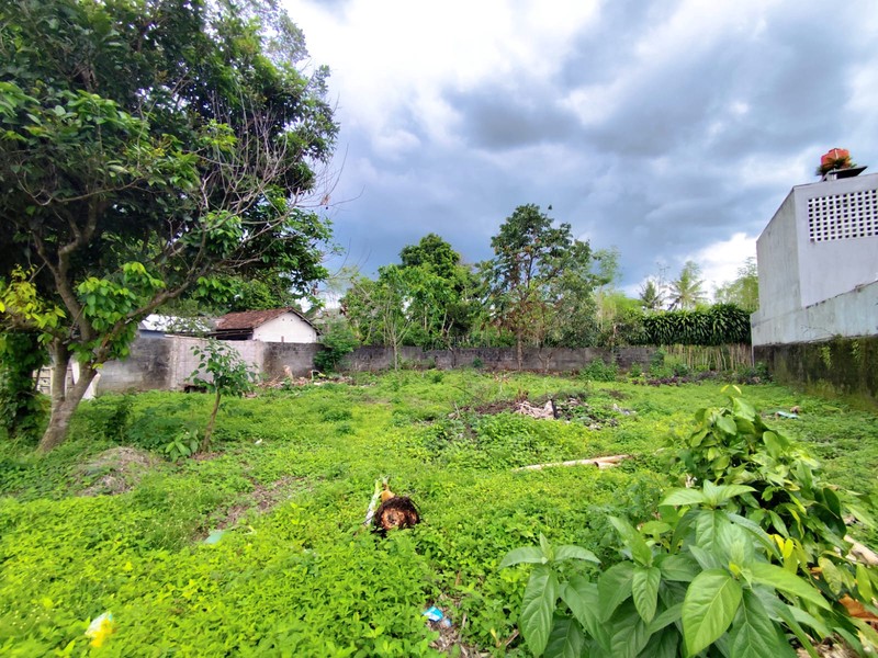 Dijual Tanah Pekarangan Luas 452 meter persegi di Jalan Sempu, Wedomartani - Ngemplak, Sleman