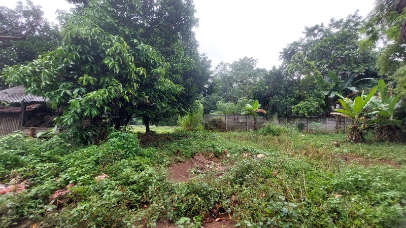 Tanah di Tapos Depok