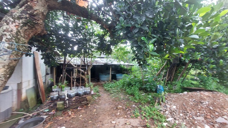 Tanah di Tapos Depok