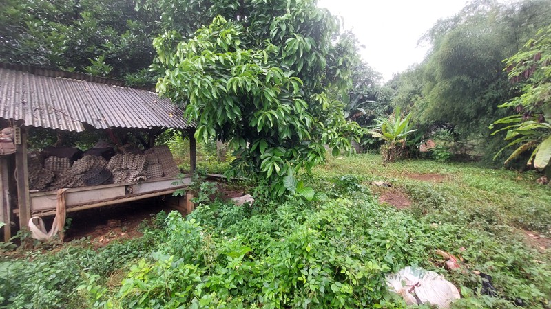 Tanah di Tapos Depok