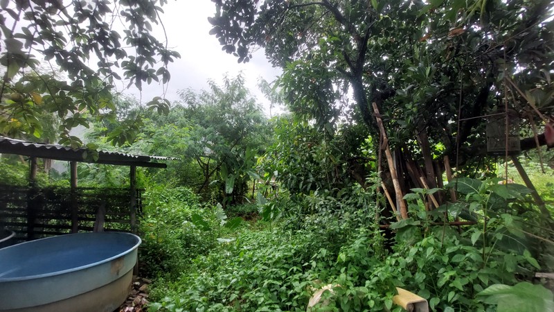 Tanah di Tapos Depok