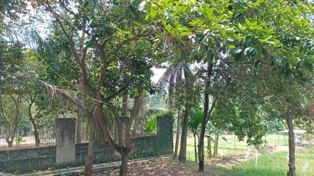 DIJUAL RUMAH dan TANAH - Pendowo Cinere