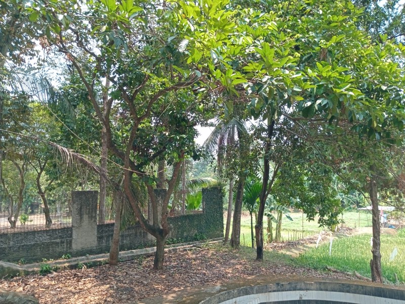DIJUAL RUMAH dan TANAH - Pendowo Cinere