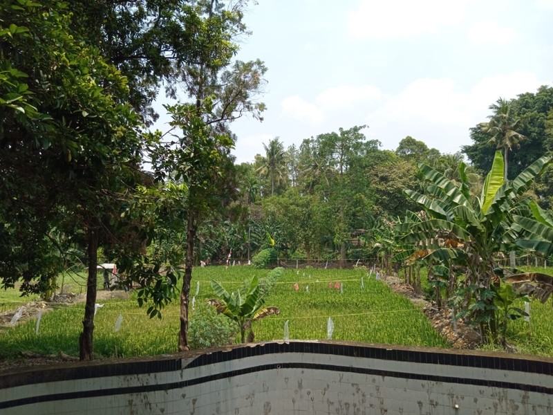 DIJUAL RUMAH dan TANAH - Pendowo Cinere