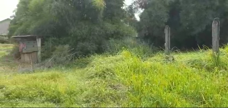 Disewa Kavling Jl Raya Cileungsi, Jonggol