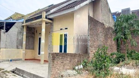 Dijual Rumah Murah Nego sampai Jadi lokasi Tanjung Senang