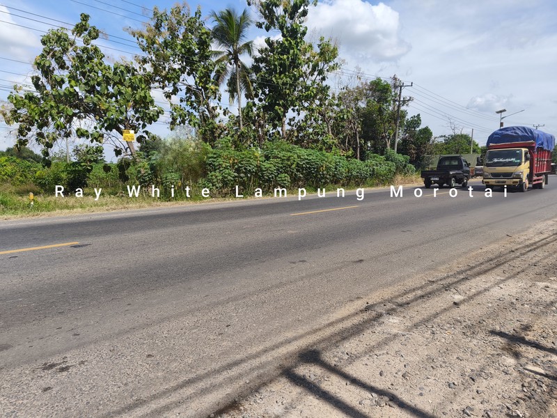 Dijual Tanah strategis pinggir jalan Lintas Terbanggi lampung Tengah