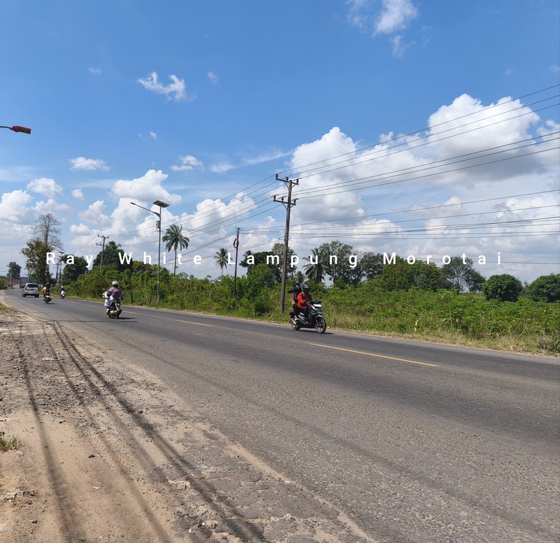 Dijual Tanah strategis pinggir jalan Lintas Terbanggi lampung Tengah