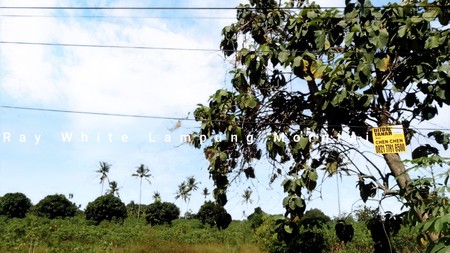 Dijual Tanah strategis pinggir jalan Lintas Terbanggi lampung Tengah