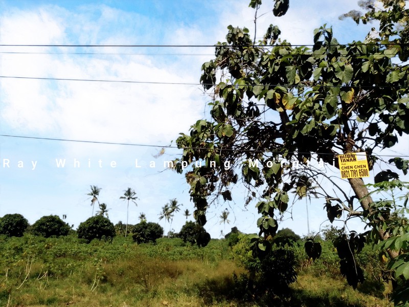 Dijual Tanah strategis pinggir jalan Lintas Terbanggi lampung Tengah