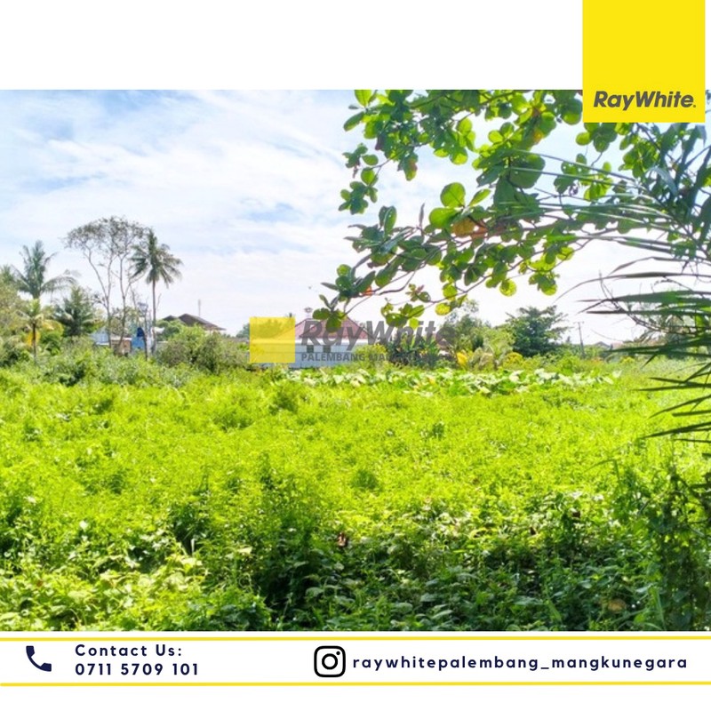 TANAH JUAL MURAH PALEMBANG 