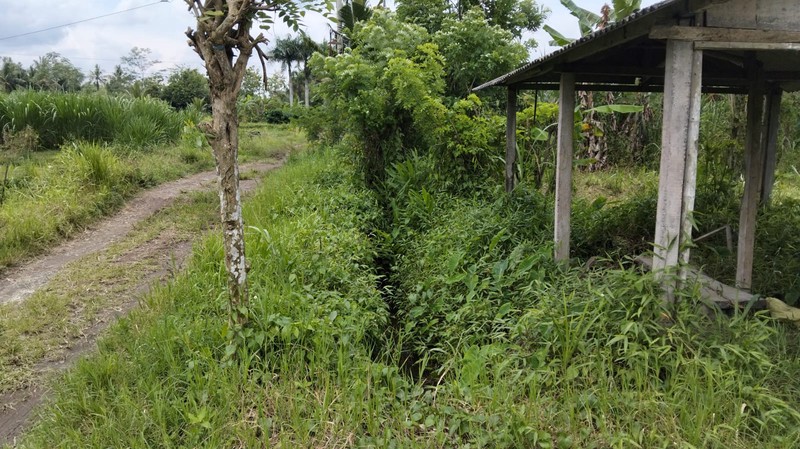 Tanah Sawah Luas 3100 Meter Persegi Lokasi Donoharjo Ngaglik Sleman 