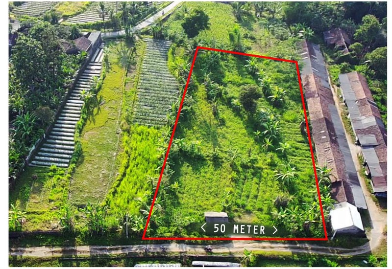 Tanah Sawah Luas 3100 Meter Persegi Lokasi Donoharjo Ngaglik Sleman 