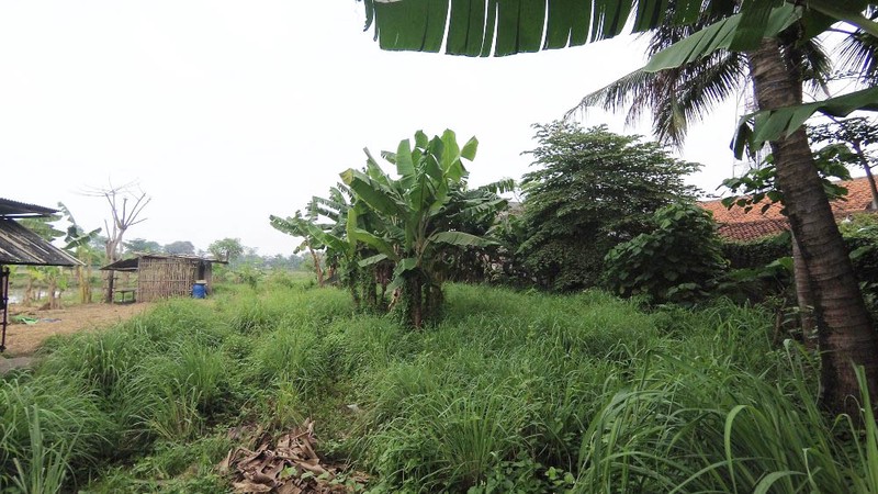 Tanah 32000 m2 dekat Citra Raya 350 meter dari Jl Raya Serang