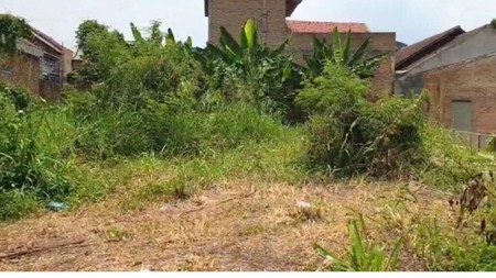 di sewakan dan di jual pulau damar