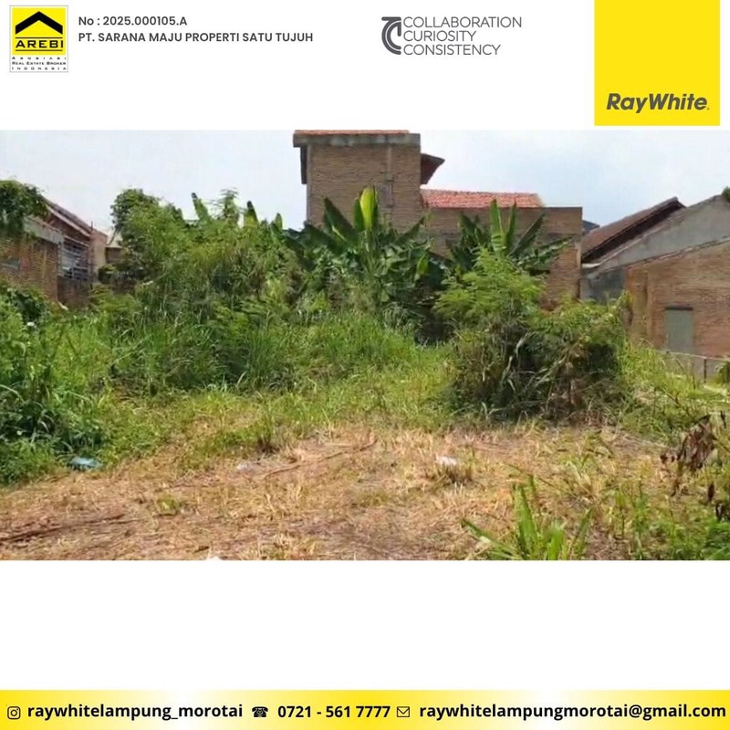 di sewakan dan di jual pulau damar