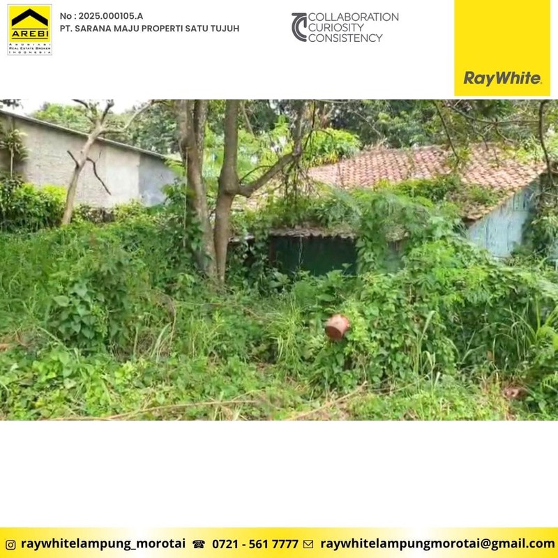 di sewakan dan di jual pulau damar