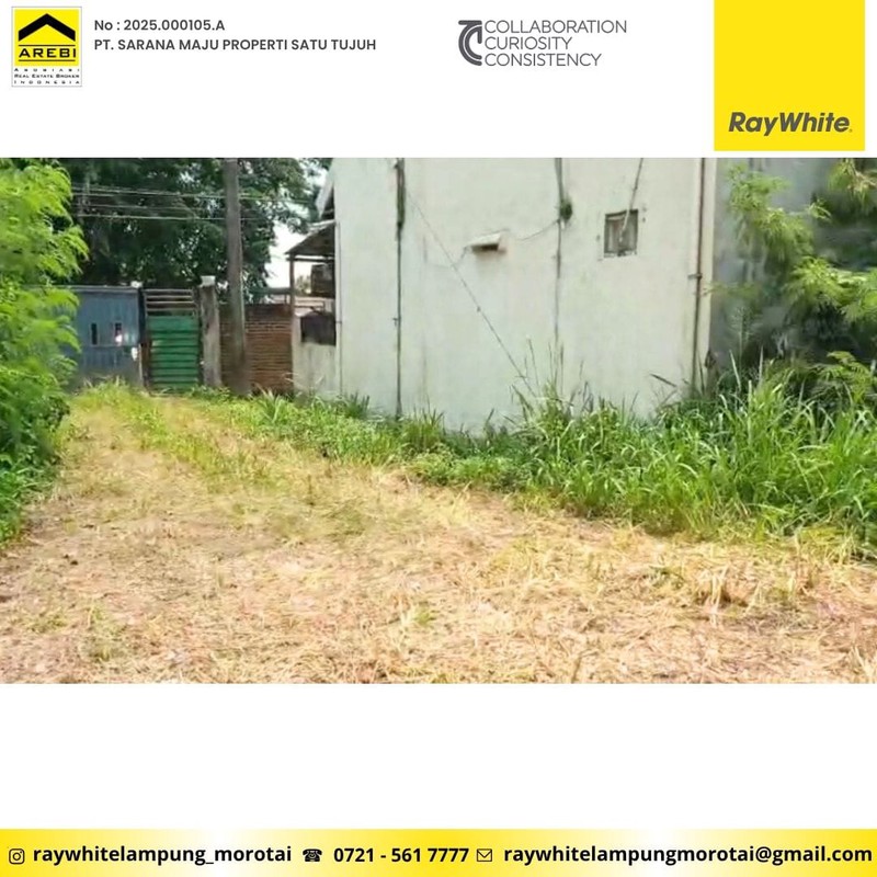 di sewakan dan di jual pulau damar