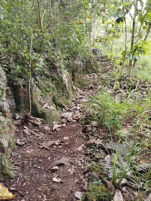 Dijual Tanah Tegal Luas 8.159 Meter Persegi  - Lokasi Strategis di Ngeposari, Semanu, Gunungkidul