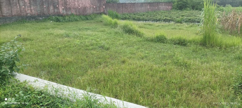 Tanah Sawah 648 Meter Persegi  - Lokasi Strategis di Jetis, Donolayan, Donoharjo, Ngaglik, Sleman