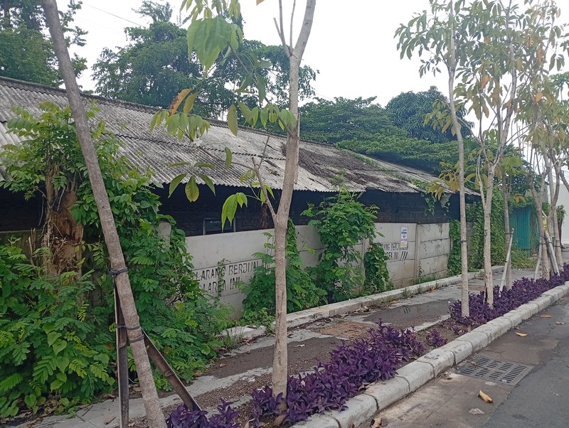 Tanah Komersial Raya Babat Jerawat Pakal Dkt Manukan 