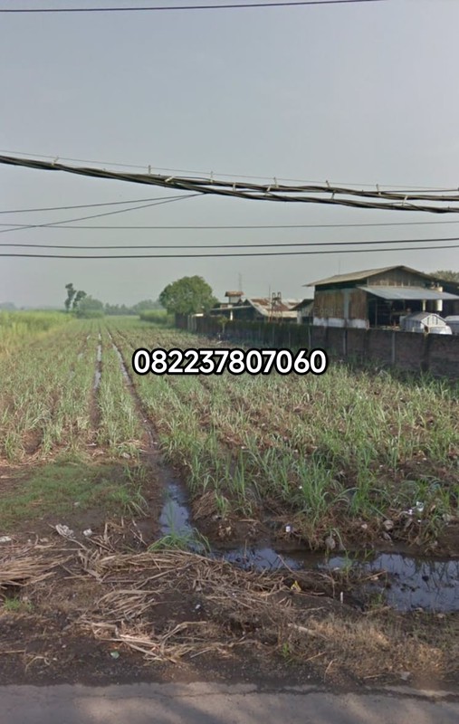 Tanah industri karang winongan mojoagung cocok pabrik