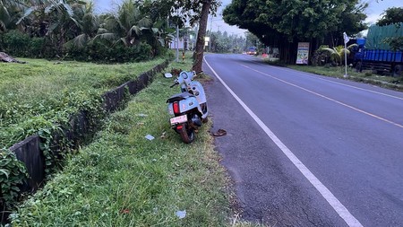 Land for Sale  Leasehold - Land Prime in Jembrana, Bali