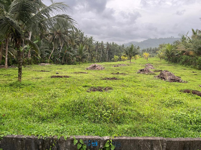 Land for Sale  Leasehold - Land Prime in Jembrana, Bali