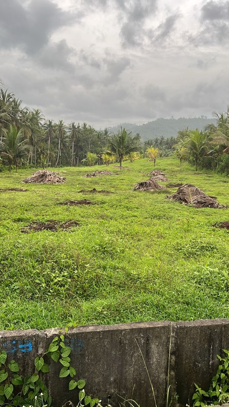 Land for Sale  Leasehold - Land Prime in Jembrana, Bali