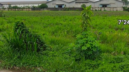  Jual Tanah Industri Mojokerto Dekat Sidoduwe, Sidorejo, Kec.Jetis, Mojokerto Jawa Timur