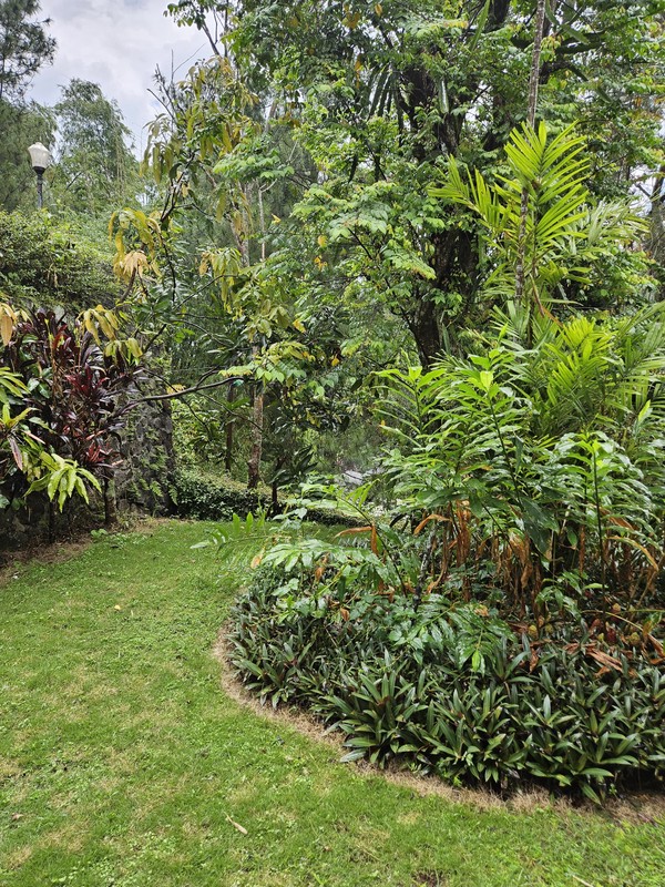 MURAH LUAS Dijual Villa Grand Trawas - Grand Whiz Trawas - Full Furnished - Udara Sejuk, Taman Hijau  Asri - Surat SHM 