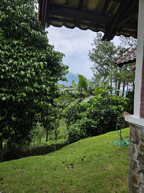 MURAH LUAS Dijual Villa Grand Trawas - Grand Whiz Trawas - Full Furnished - Udara Sejuk, Taman Hijau  Asri - Surat SHM 