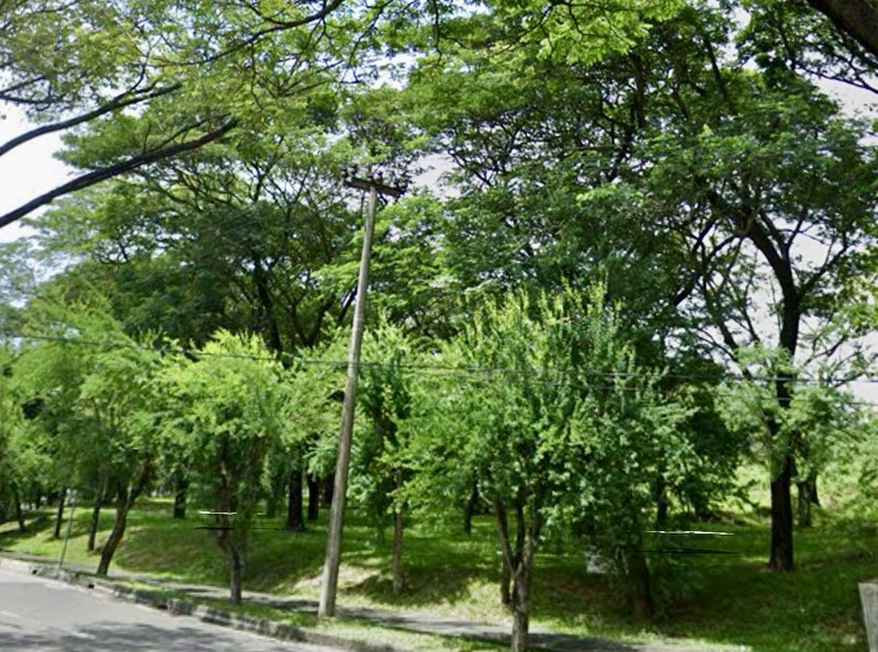 Dijual Sebidang Tanah di Jalan Majapahit, Lippo Cikarang