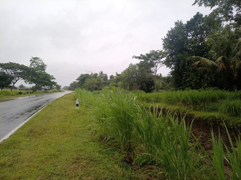 Dijual Cepat, Tanah Kavling Super Luas 25.171 Meter Persegi di Pinggir Jalan Lingkar Selatan Kebumen (Jalur Utama)