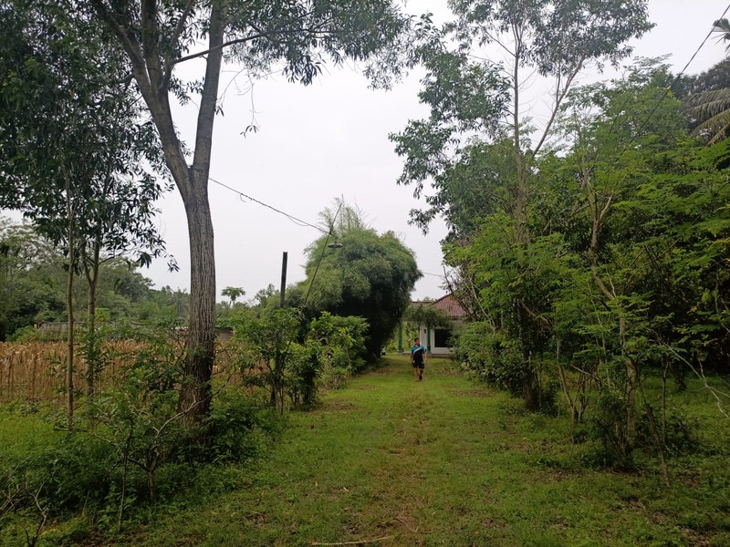 Dijual Cepat, Tanah Kavling Super Luas 25.171 Meter Persegi di Pinggir Jalan Lingkar Selatan Kebumen (Jalur Utama)