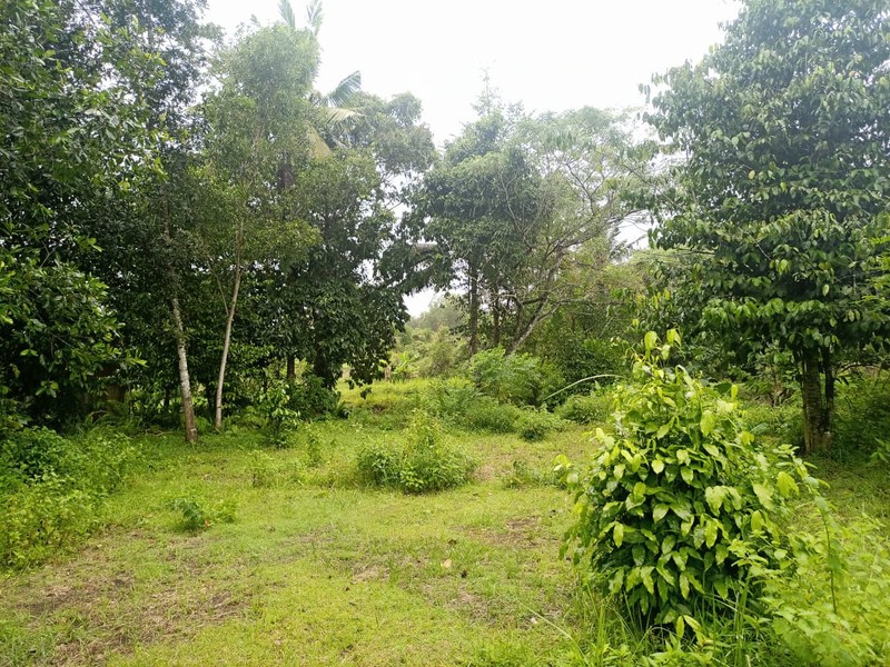 Dijual Cepat, Tanah Kavling Super Luas 25.171 Meter Persegi di Pinggir Jalan Lingkar Selatan Kebumen (Jalur Utama)