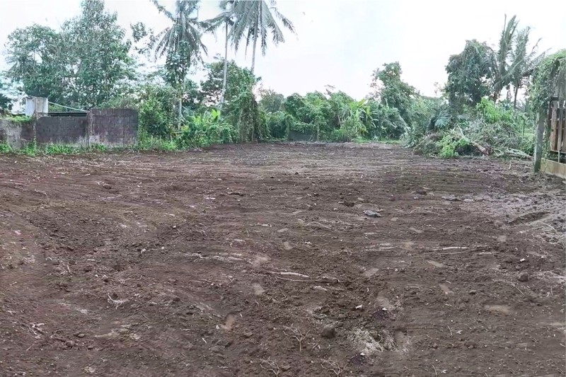 Investasi Tanah 3654 Meter Persegi Di Jalan Salak, Donokerto, Turi, Sleman, Yogyakarta