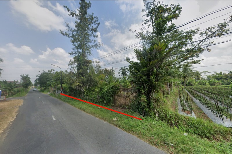 Investasi Tanah 3654 Meter Persegi Di Jalan Salak, Donokerto, Turi, Sleman, Yogyakarta