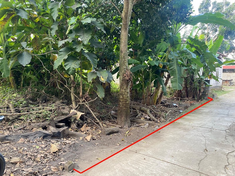 Tanah Sawah Strategis 985 meter Persegi di Berbah, Sleman, Cocok untuk Pertanian atau Investasi Masa Depan