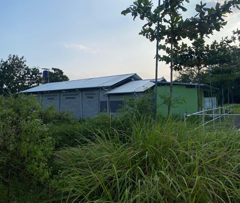 Tanah Sawah Strategis 985 meter Persegi di Berbah, Sleman, Cocok untuk Pertanian atau Investasi Masa Depan