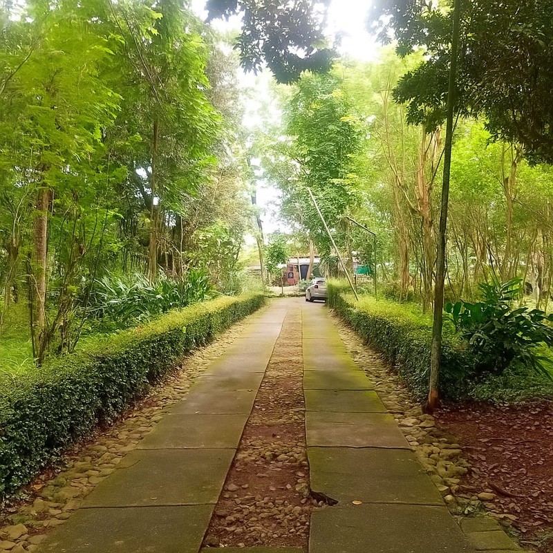 Dijual Rumah Joglo Mewah & Eksotis Furnish Di Ambarawa 7.184 Meter Persegi, Strategis Dekat Exit Tol & Objek Wisata